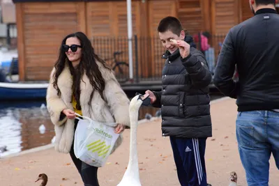 DSC_0663 (Large).JPG